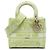 Dior Green Medium Embroidered Canvas Toile de Jouy Lady D Lite D'oro Verde