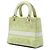 Dior Green Medium Embroidered Canvas Toile de Jouy Lady D Lite D'oro Verde - vista 2