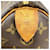 Borsa Louis Vuitton Monogram Speedy 25 Marrone - vista 5