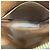 Borsa a tracolla Louis Vuitton Monogram Amazon Marrone - vista 4