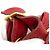 Hermès Borsa a tracolla Hermes Market GM Rouge Gold Hardware - vista 7
