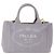 PRADA Canapa PM Hand Bag Canvas 2way Gray Gold - vista 13