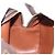 LOUIS VUITTON Monogram Blois Shoulder Bag M51221 LV - vista 19