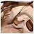 GUCCI Micro GG Supreme Shoulder Bag PVC Beige Gold 007 86 0044 - vista 19