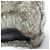 Autre Marque Borsa 2way in pelliccia CHACOLI HYKE Marrone - vista 5