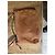 Autre Marque Fossil Borsa a Tracolla in Pelle Marrone - vista 12
