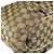 Bolso de hombro Gucci GG Canvas Beige Dorado - vista 10