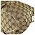 Bolso de hombro Gucci GG Canvas Beige Dorado - vista 11