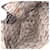 Borsa a tracolla Gucci da donna Marrone Bianco Beige - vista 4