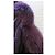 Autre Marque Abrigo Martylo morado con insertos de piel de zorro Morado oscuro - vista 5
