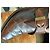 Scarpe Monk Strap Bally in Pelle Marrone - vista 4