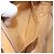 Céline Borsa a tracolla CELINE Macadam Canvas PVC Beige Gold Auth 196864 D'oro - vista 21