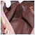 Borsa a mano Burberrys Nova Check PVC Beige Gold Auth 197676 D'oro - vista 22