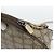 GUCCI Bolsa de Ombro GG Supreme PVC Beige Gold 40 02 068 - vista 14