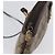 Borsa GUCCI GG Supreme Web Sherry Line in PVC beige e oro 904 02 047 autentica BSZ679 - vista 16