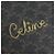 Céline Borsa a Tracolla Rotonda CELINE Triomphe PVC Nero Oro Auth 199654M D'oro - vista 22