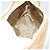 Pouch GUCCI Canvas Azzurro Oro 039 1133 Auth BA15361 Blu chiaro - vista 18