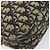 Borsa a tracolla Christian Dior Trotter Canvas Navy Gold Auth 199128 D'oro Blu navy - vista 17