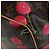 LOUIS VUITTON Monogram Cherry Keepall 45 Boston Bag M95011 LV Auth am12388SM Monogramma - vista 17