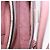Borsa a mano Miu Miu in pelle 2way Rosa Oro Auth 198705A D'oro - vista 27