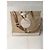 Borsa Tote Coach in Tela Monogrammata e Pelle Bianco Beige - vista 5