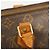 Borsa Louis Vuitton Monogram Speedy 25 Marrone - vista 9