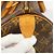 Borsa Louis Vuitton Monogram Speedy 30 Marrone - vista 5