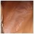Céline CELINE Macadam Canvas Circle Shoulder Bag PVC Leather Brown Gold - vista 17