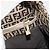 FENDI Zucchino Canvas Hand Bag Beige Gold - vista 21