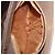 GUCCI GG Supreme Shoulder Bag PVC Leather Beige Gold Tone - vista 21