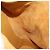 LOEWE Anton Backpack Leather Yellow Gold - vista 20