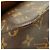 Borsa a tracolla Mini Looping Monogram Louis Vuitton Marrone - vista 5