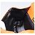 Borsa a mano BALLY in pelle 2way Orange Gold Auth 197157A D'oro Arancione - vista 21