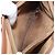 Céline Borsa a tracolla CELINE Macadam PVC Pelle Marrone Tono Oro Auth 200132 - Ansicht 11