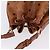Borsa a tracolla MCM Vicetos Logogram PVC Leather Brown Gold Auth 200898 Marrone D'oro - vista 6