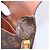 LOUIS VUITTON Monogram Saint Cloud MM Shoulder Bag M51243 LV Auth 198980 Monogramma - vista 20