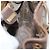 GUCCI GG Supreme Shoulder Bag PVC Beige Gold - vista 20