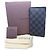 Cartera Louis Vuitton Damier Graphite Negro