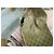 Cappellino in tela monogramma Gucci e borsa a tracolla in pelle rosa Beige - vista 12