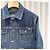 Tom Ford Giacca Trucker in Denim di Cotone (Grade Blu - vista 3