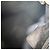 Dior Borsa Boston Trotter Nera Borsa da Viaggio Unisex Nero - vista 19