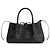Bottega Veneta Small Pinacoteca Black