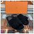 Hermès Pantofole Izmir in shearling Nero - vista 3
