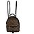 Louis Vuitton Palm Springs Monogram Mini Marrone