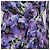 Dolce & Gabbana Purple Silk Anemone Print Belted Midi Dress - view 4