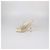 Sandali T-Strap in pelle Off White Bottega Veneta Crudo - vista 4