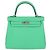 Hermès Borsa Kelly Retourne 25 Hermes Vert Comics in pelle Swift con hardware Palladium