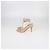 Sandali Plexi con lacci alla caviglia in PVC Beige/Trasparente e pelle Gianvito Rossi - vista 4