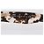 Gafas de sol Valentino Rockstud Havana/Brown Gradient - vista 6