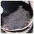 Borsa a mano FENDI Zucca Canvas Nero Marrone Auth 199404 - vista 16